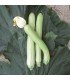 Courgette sicilienne blanche longue - graines non traitées