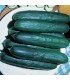 Cucumber "verte long Maraicher" untreated seeds