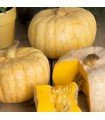 Australian butter squash - untreated seeds