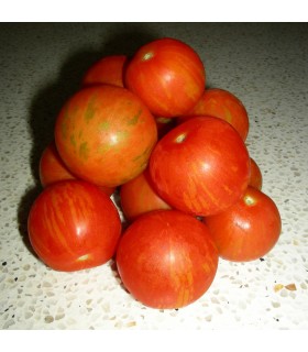 Tomate Tigerella
