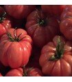 Montserrat tomato - untreated seeds