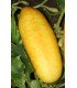 Pepino gele tros - semillas no tratadas