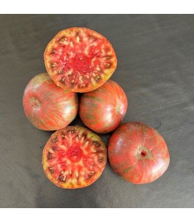 Tomate Cherokee purple - graines non traitées