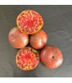 Tomate Cherokee purple - graines non traitées