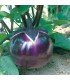 Aubergine Prosperosa - graines non traitées