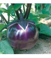Aubergine Prosperosa - graines non traitées