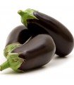 Eggplant Black Beauty-untreated seeds