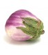 Rosa Bianca Eggplant - untreated seeds