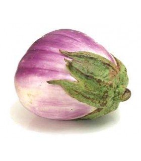 Berenjena Rosa Bianca