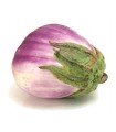 Rosa Bianca Eggplant - untreated seeds