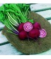 Chioggia beet - untreated seeds
