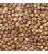 Coriander Slobolt - untreated seeds