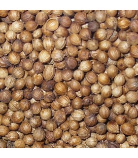 Coriander Slobolt - untreated seeds