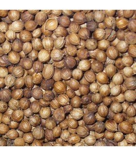 Coriander Slobolt - untreated seeds
