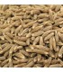 Cumin - untreated seeds