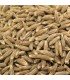 Cumin - untreated seeds