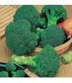 Broccoli Calabrese Waltham - untreated seeds