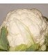 Snowball cauliflower - untreated seeds