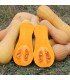 Waltham Butternut Squash - untreated seeds