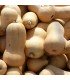 Waltham Butternut Squash - untreated seeds