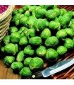 Brussel Sprouts F1 Bosworth