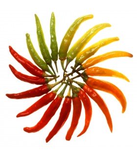 Pimiento Picante Mexican Mix