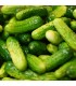 Pepinillo Vert Petit de Paris