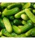 Pepinillo Vert Petit de Paris