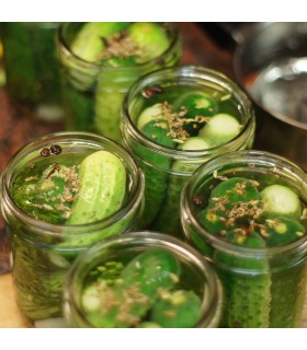 Pepinillo Vert Petit de Paris