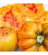 Tomate German Gold (Semillas Ecológicas)