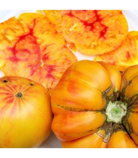 Tomate German Gold (Semillas Ecológicas)