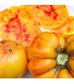 Tomato German Gold - untreated seeds