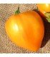 Tomate Corazón de Buey Naranja (Semillas Ecológicas)