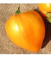 Tomate Orange Ox Heart - graines non traitées