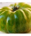 Tomate Charlie Green - graines non traitées