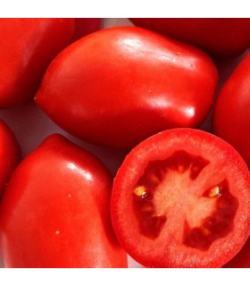 Tomate Río Grande (Semillas Ecológicas)