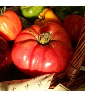 Tomate Rosa Olena Ukranian (Semillas Ecológicas)