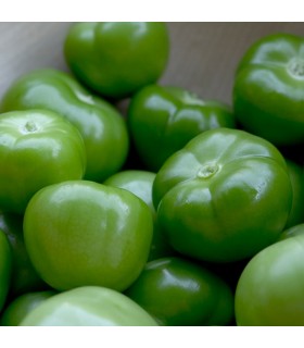 Physalis Ixocarpa Tomatillo Verde (Semillas Ecológicas)