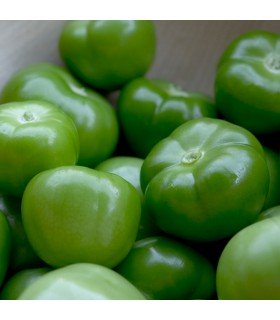 Physalis Ixocarpa Tomatillo Verde (Semillas Ecológicas)