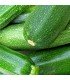 Calabacín Zucchini (Semillas Ecológicas)