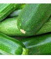Calabacín Zucchini  - semillas no tratadas