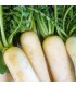 Rabanito Daikon (Semillas Ecológicas