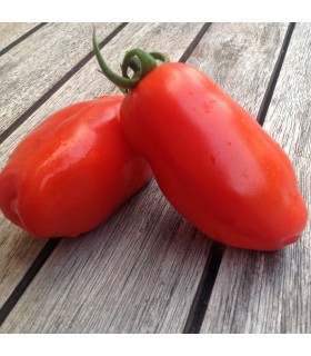 Tomate San Marzano (Semillas Ecológicas)
