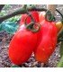 Tomate San Marzano (Semillas Ecológicas)