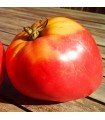 Beef Heart Tomato - untreated seeds