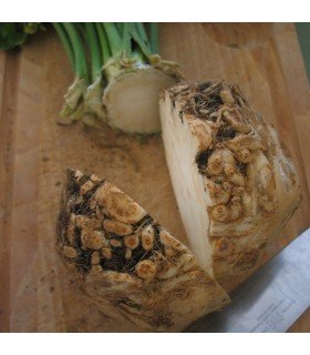 Apio Nabo Monarch (Semillas Ecológicas)