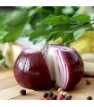 Red Baron Red Onion - untreated seeds