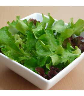 Lechuga Baby Leaf Mix