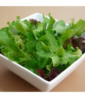 Lechuga Baby Leaf Mix