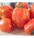 Tomate Red Cavern (Semillas Ecológicas)